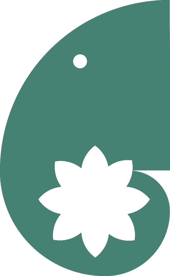 CHETASee logo
